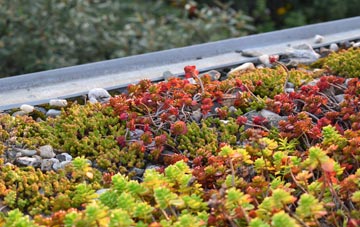 the cost of Markle green roof installation
