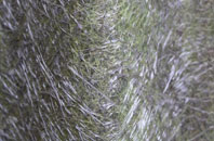 Markle fibreglass roof work